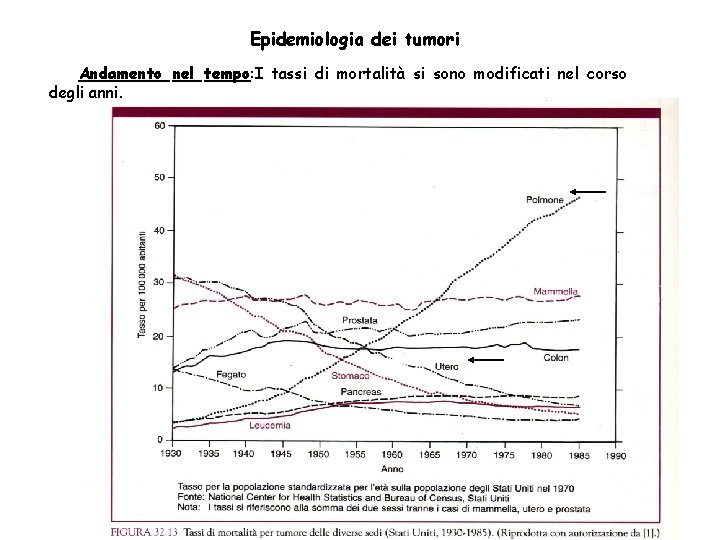 Epidemiologia dei tumori Andamento nel tempo: I tassi di mortalità si sono modificati nel