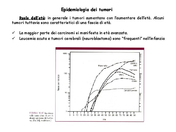 Epidemiologia dei tumori Ruolo dell’età: in generale i tumori aumentano con l’aumentare dell’età. Alcuni