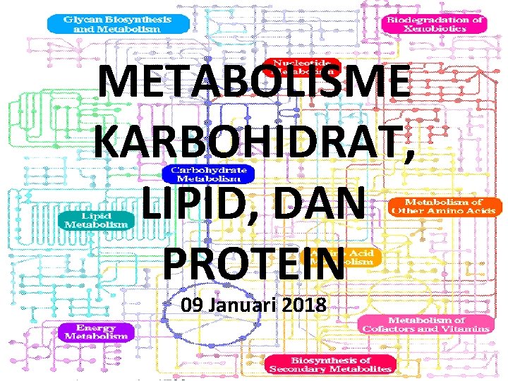 METABOLISME KARBOHIDRAT, LIPID, DAN PROTEIN 09 Januari 2018 