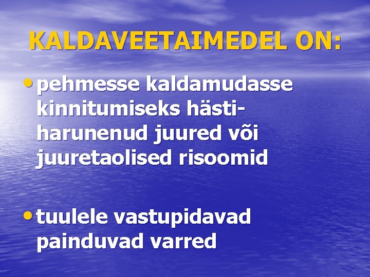 KALDAVEETAIMEDEL ON: • pehmesse kaldamudasse kinnitumiseks hästiharunenud juured või juuretaolised risoomid • tuulele vastupidavad
