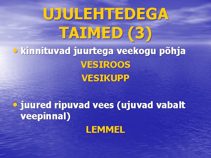 UJULEHTEDEGA TAIMED (3) • kinnituvad juurtega veekogu põhja VESIROOS VESIKUPP • juured ripuvad vees