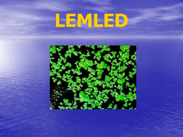 LEMLED 