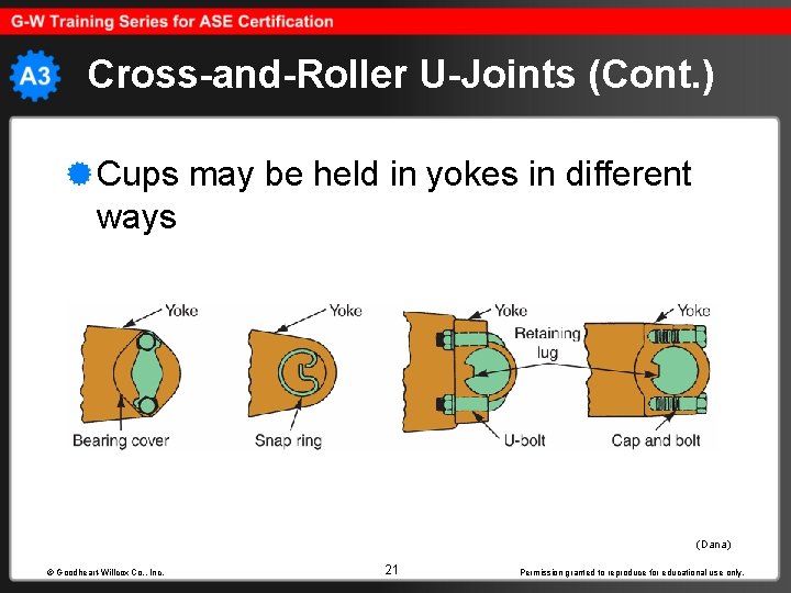 Cross-and-Roller U-Joints (Cont. ) Cups may be held in yokes in different ways (Dana)