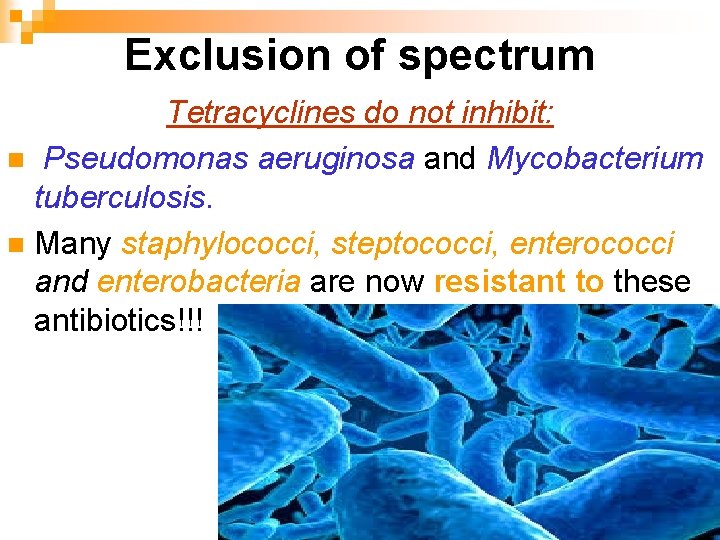 Exclusion of spectrum Tetracyclines do not inhibit: n Pseudomonas aeruginosa and Mycobacterium tuberculosis. n