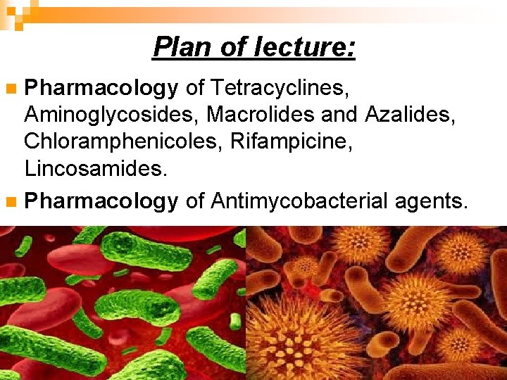 Plan of lecture: Pharmacology of Tetracyclines, Aminoglycosides, Macrolides and Azalides, Chloramphenicoles, Rifampicine, Lincosamides. n