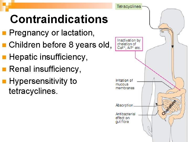 Contraindications Pregnancy or lactation, n Children before 8 years old, n Hepatic insufficiency, n