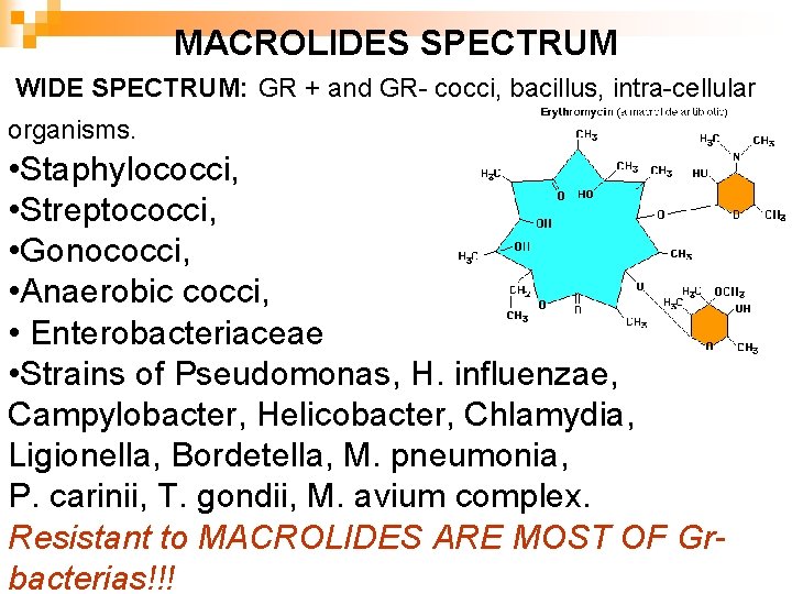 MACROLIDES SPECTRUM WIDE SPECTRUM: GR + and GR- cocci, bacillus, intra-cellular organisms. • Staphylococci,