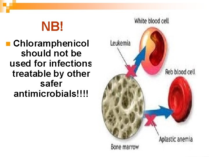 NB! Chloramphenicol should not be used for infections treatable by other safer antimicrobials!!!! n