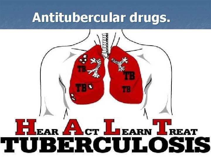 Antitubercular drugs. 