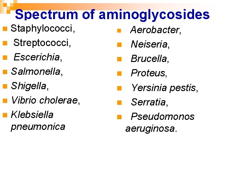 Spectrum of aminoglycosides Staphylococci, n Streptococci, n Escerichia, n Salmonella, n Shigella, n Vibrio