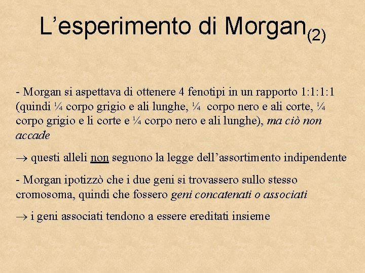 L’esperimento di Morgan(2) - Morgan si aspettava di ottenere 4 fenotipi in un rapporto