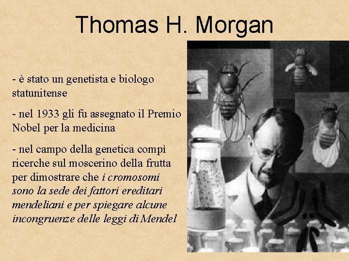 Thomas H. Morgan - è stato un genetista e biologo statunitense - nel 1933