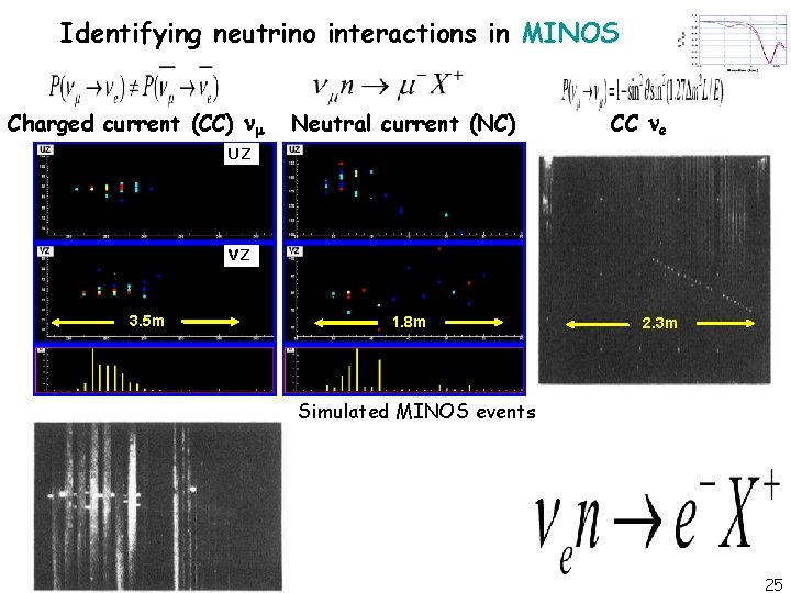 Identifying neutrino interactions in MINOS Charged current (CC) Neutral current (NC) CC e UZ