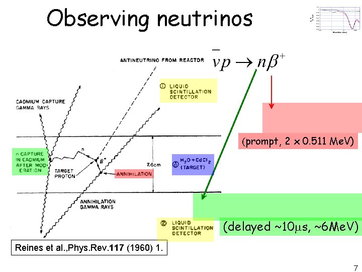 Observing neutrinos (prompt, 2 x 0. 511 Me. V) (delayed ~10 ms, ~6 Me.
