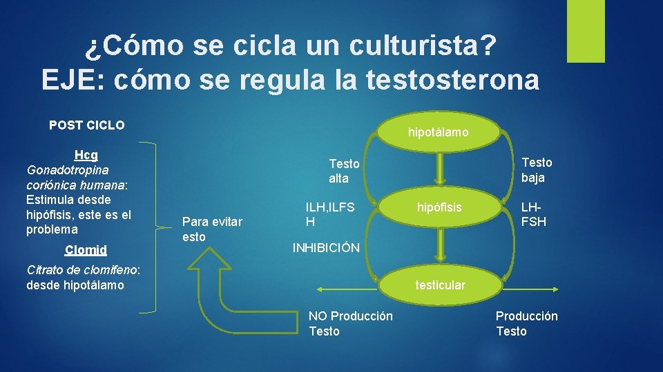 ¿Cómo se cicla un culturista? EJE: cómo se regula la testosterona POST CICLO Hcg