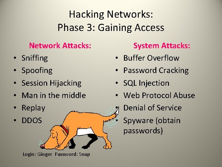 Hacking Networks: Phase 3: Gaining Access • • • Network Attacks: Sniffing Spoofing Session