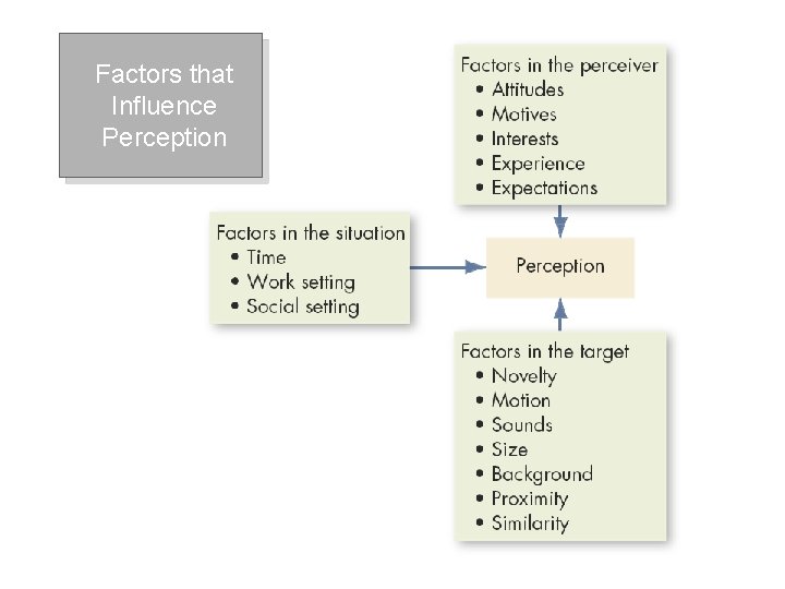 Factors that Influence Perception 