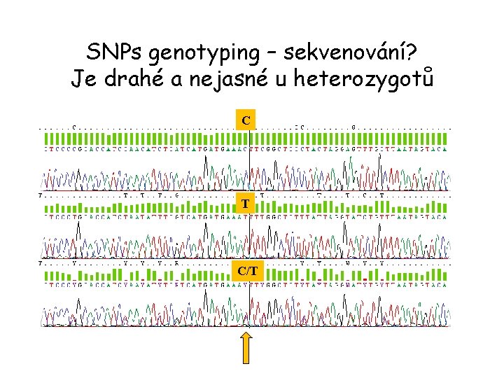 SNPs genotyping – sekvenování? Je drahé a nejasné u heterozygotů C T C/T 