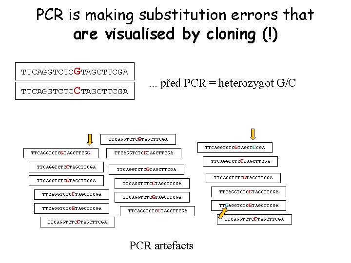 PCR is making substitution errors that are visualised by cloning (!) TTCAGGTCTCGTAGCTTCGA TTCAGGTCTCCTAGCTTCGA .