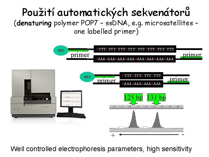 Použití automatických sekvenátorů (denaturing polymer POP 7 – ss. DNA, e. g. microsatellites –