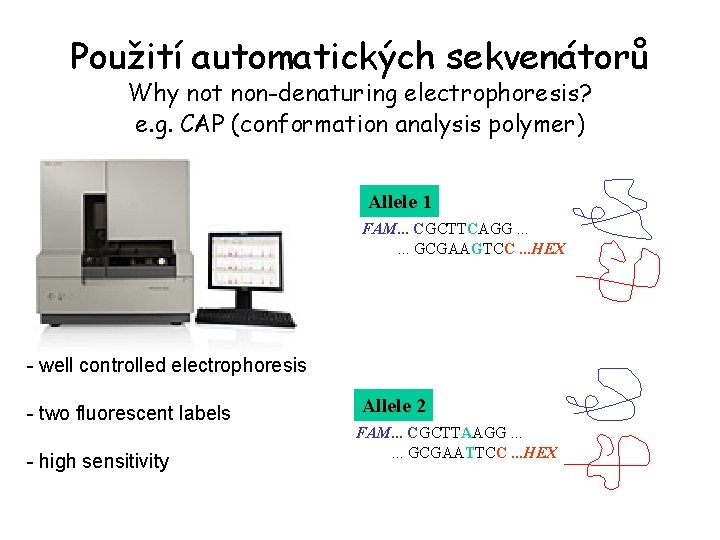 Použití automatických sekvenátorů Why not non-denaturing electrophoresis? e. g. CAP (conformation analysis polymer) Allele