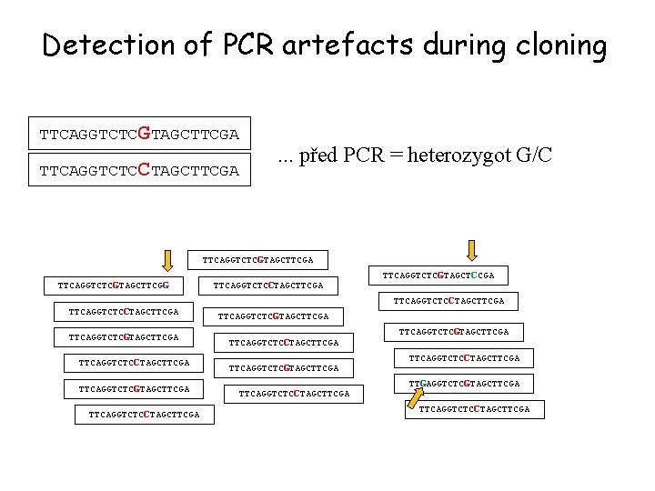 Detection of PCR artefacts during cloning TTCAGGTCTCGTAGCTTCGA TTCAGGTCTCCTAGCTTCGA . . . před PCR =