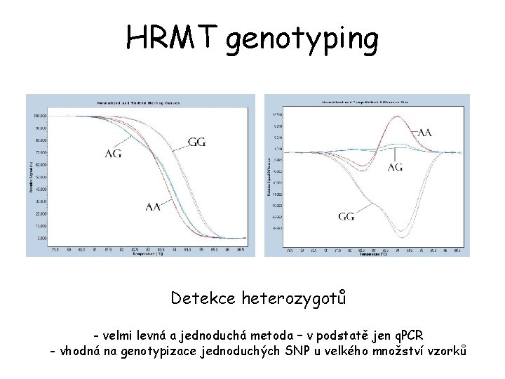 HRMT genotyping Detekce heterozygotů - velmi levná a jednoduchá metoda – v podstatě jen