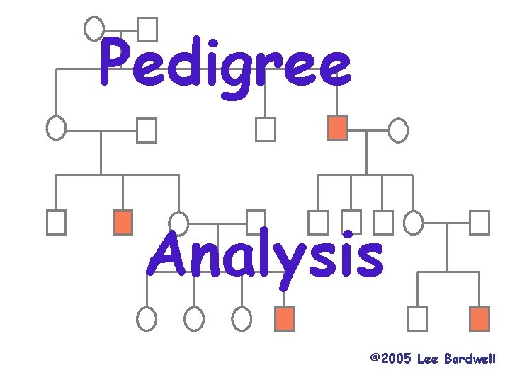 Pedigree Analysis © 2005 Lee Bardwell 