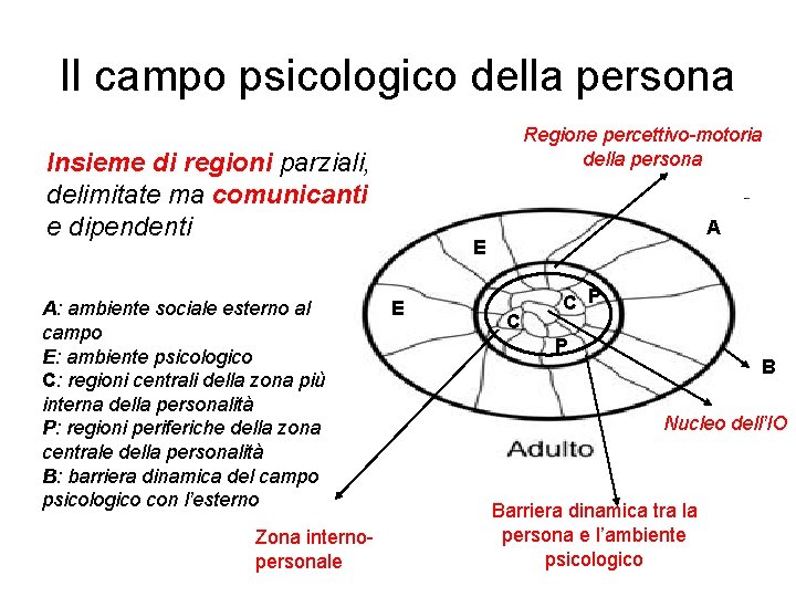 Il campo psicologico della persona Regione percettivo-motoria della persona Insieme di regioni parziali, delimitate