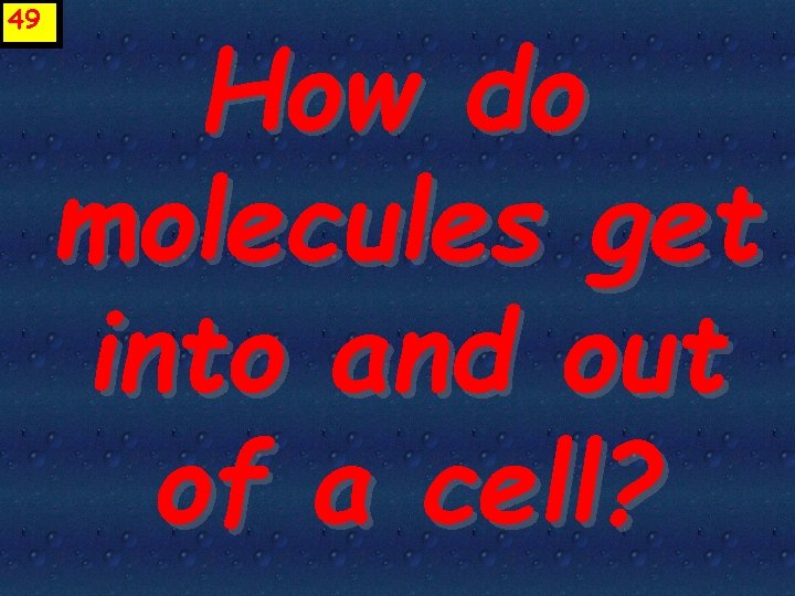 49 How do molecules get into and out of a cell? 