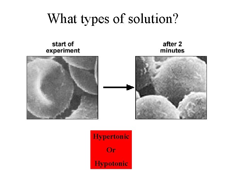 What types of solution? Hypertonic Or Hypotonic 