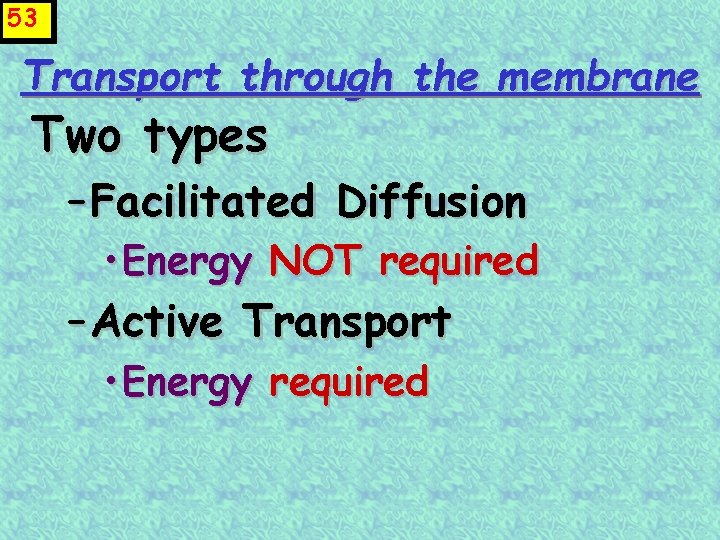 53 Transport through the membrane Two types – Facilitated Diffusion • Energy NOT required