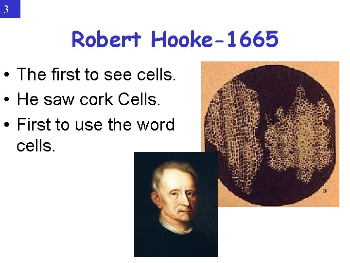 3 Robert Hooke-1665 • The first to see cells. • He saw cork Cells.