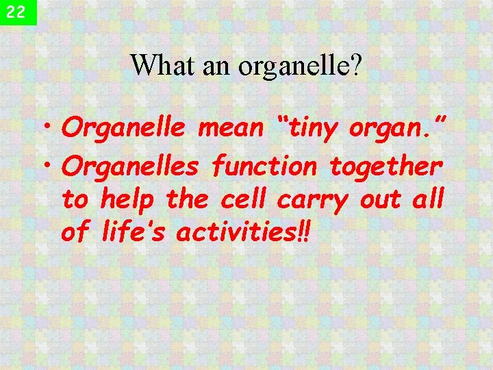 22 What an organelle? • Organelle mean “tiny organ. ” • Organelles function together