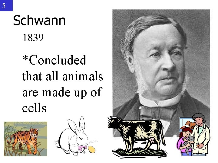 5 Schwann 1839 *Concluded that all animals are made up of cells 