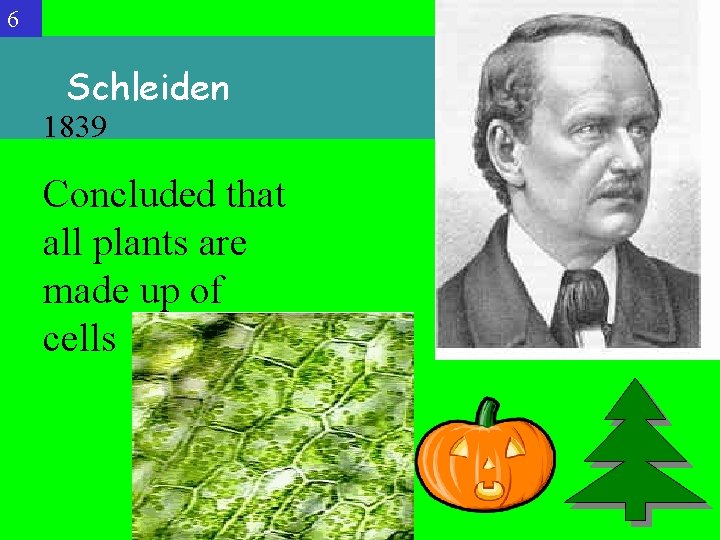 6 Schleiden 1839 Concluded that all plants are made up of cells 