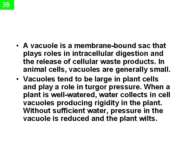 38 • A vacuole is a membrane-bound sac that plays roles in intracellular digestion