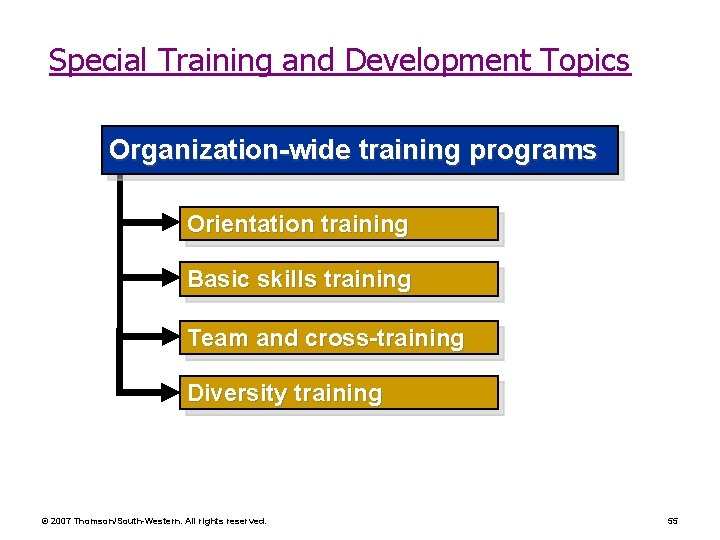 Special Training and Development Topics Organization-wide training programs Orientation training Basic skills training Team Special Training and Development Topics Organization-wide training programs Orientation training Basic skills training Team