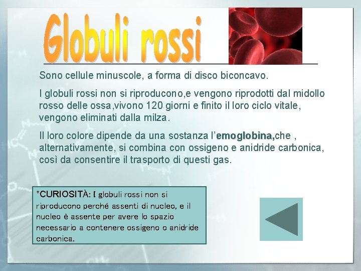 Sono cellule minuscole, a forma di disco biconcavo. I globuli rossi non si riproducono,