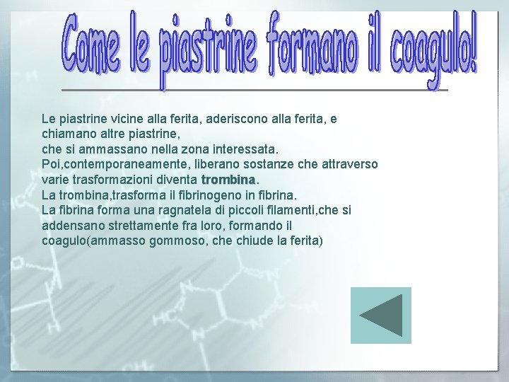 Le piastrine vicine alla ferita, aderiscono alla ferita, e chiamano altre piastrine, che si