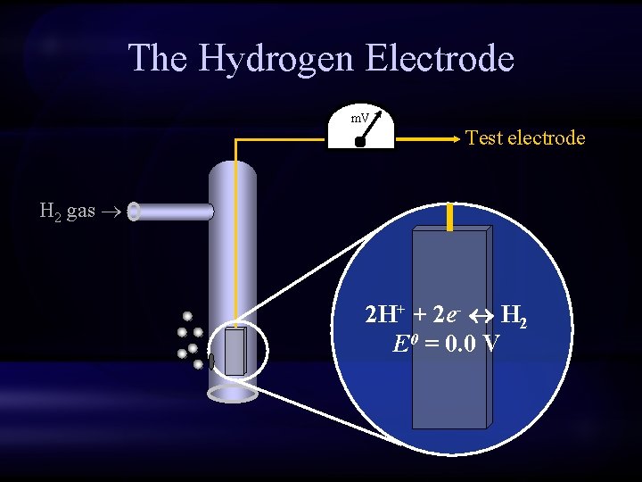 The Hydrogen Electrode m. V Test electrode H 2 gas 2 H+ + 2