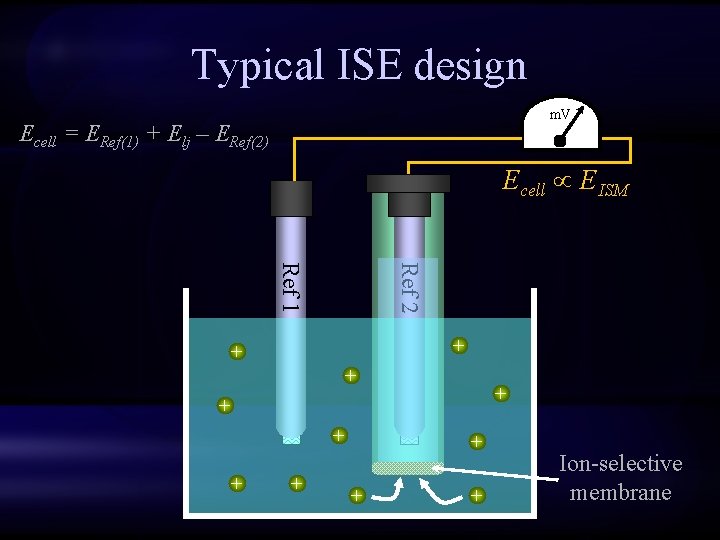 Typical ISE design m. V Ecell = ERef(1) + Elj – ERef(2) Ecell EISM