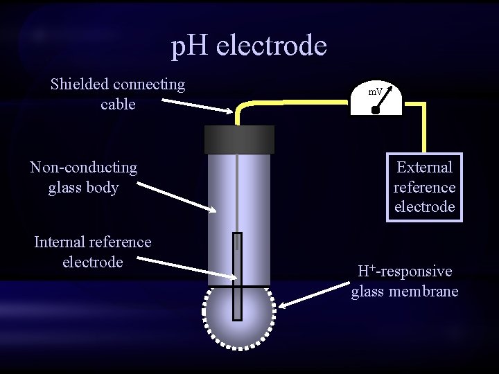 p. H electrode Shielded connecting cable Non-conducting glass body Internal reference electrode m. V