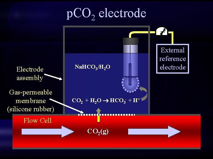 p. CO 2 electrode m. V Electrode assembly Gas-permeable membrane (silicone rubber) Na. HCO