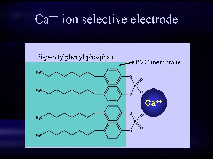 Ca++ ion selective electrode di-p-octylphenyl phosphate PVC membrane Ca++ 