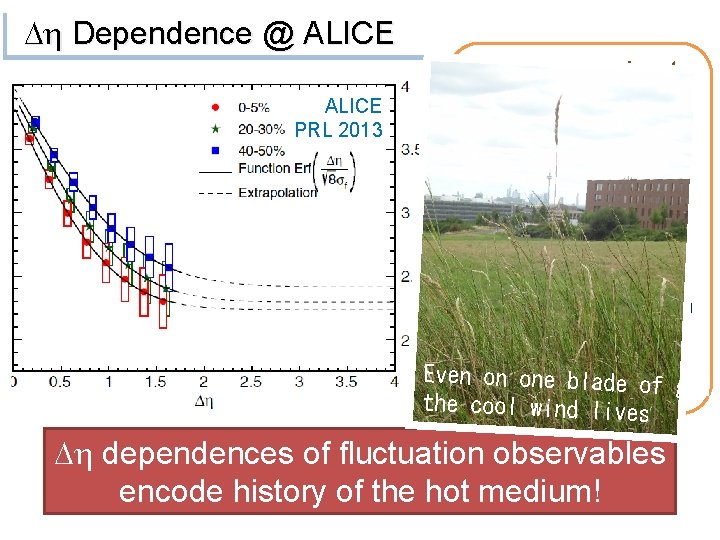 Dh Dependence @ ALICE PRL 2013 Dh dependent thermometer? large small Even on one