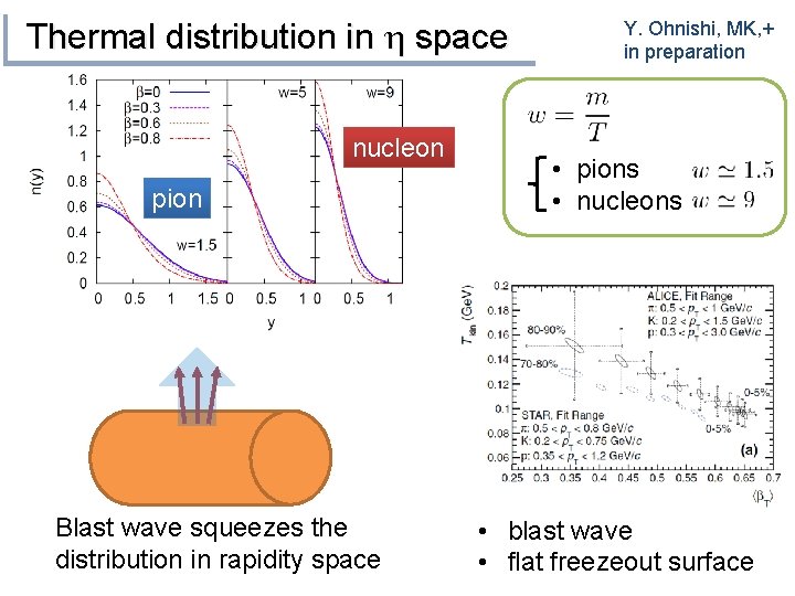 Thermal distribution in h space nucleon pion Blast wave squeezes the distribution in rapidity