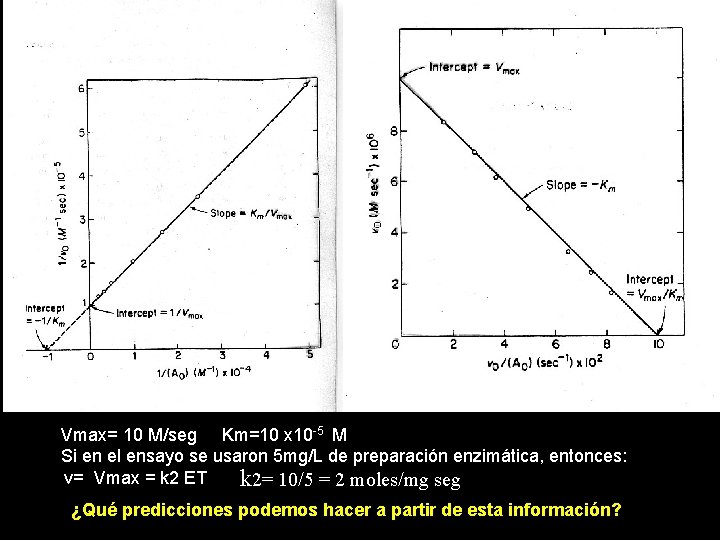 Vmax= 10 M/seg Km=10 x 10 -5 M Si en el ensayo se usaron