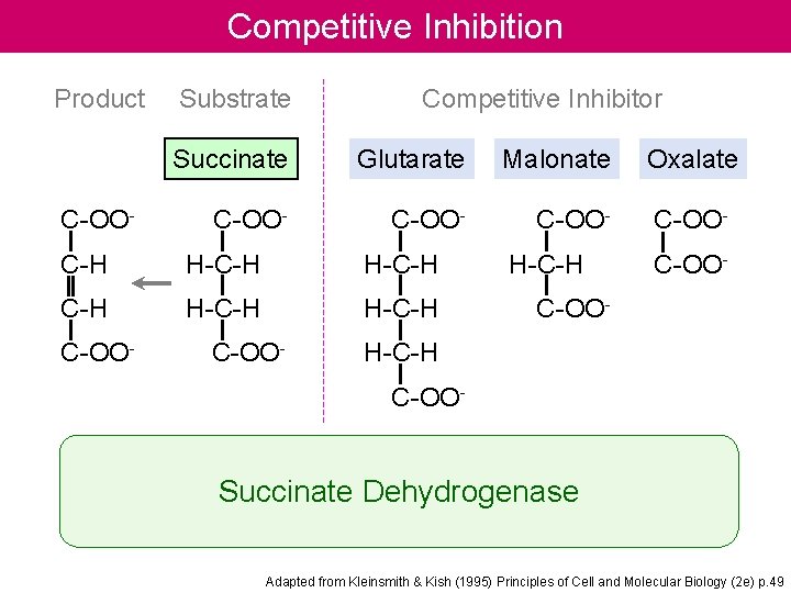 Competitive Inhibition Product C-OO- Substrate Competitive Inhibitor Succinate Glutarate Malonate C-OO- C-H H-C-H C-OO-