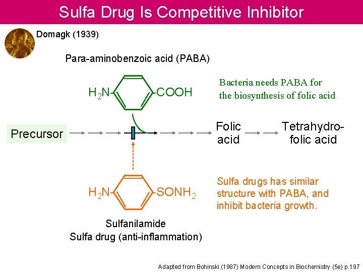 Sulfa Drug Is Competitive Inhibitor Domagk (1939) Para-aminobenzoic acid (PABA) H 2 N- -COOH